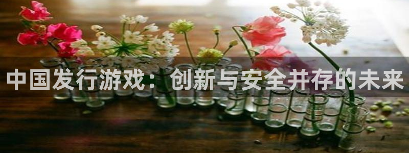 非凡游戏注册地址查询官网：中国发行游戏：创新与安全并存的未来