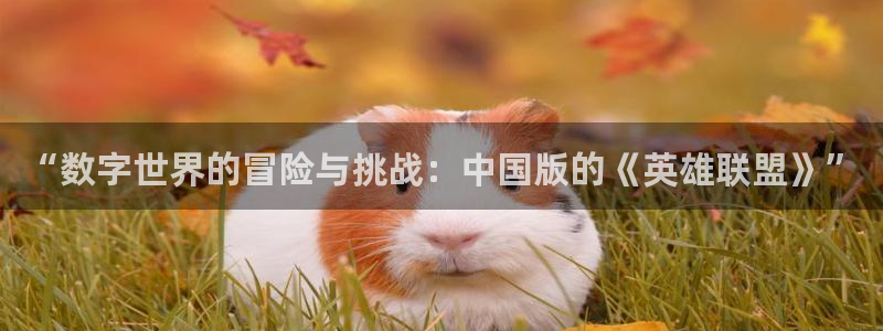 非凡游戏官网平台