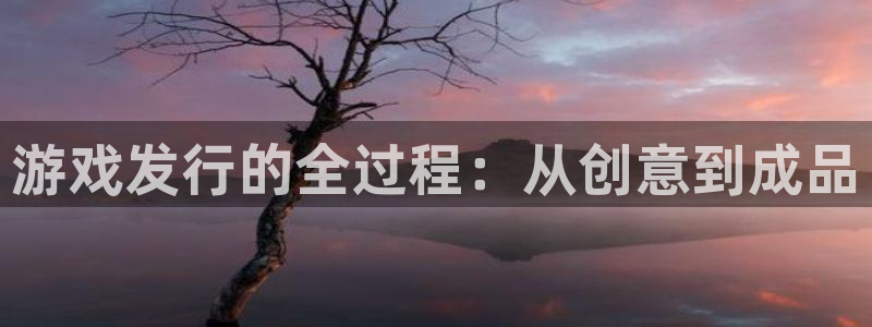 非凡游戏官网子财经丛书