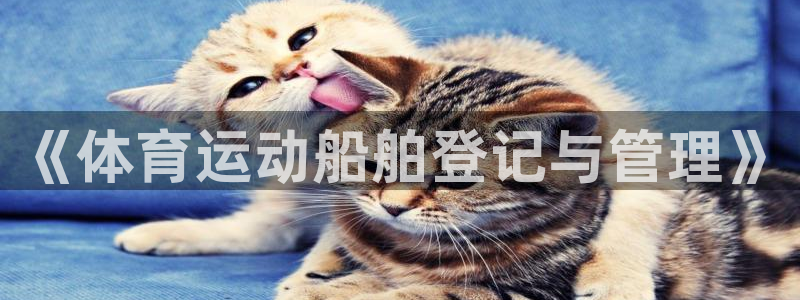 678体育app