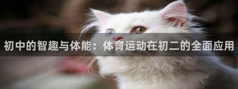678体育官网地址