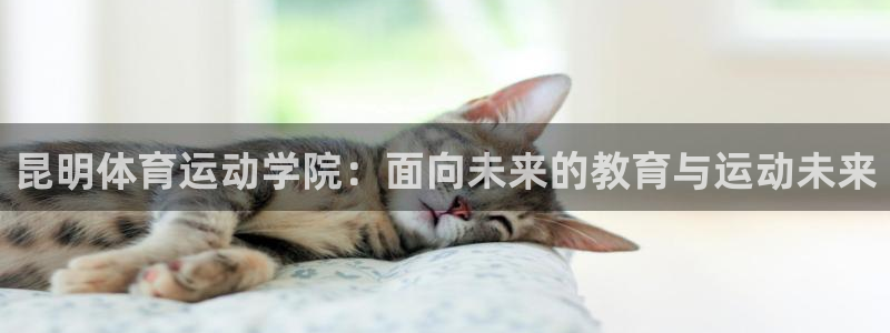 678体育