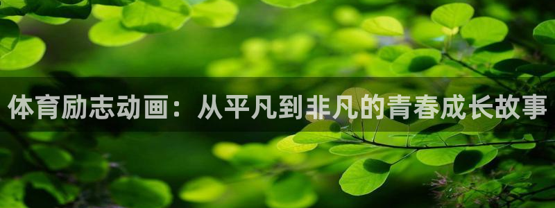 678体育官网地址