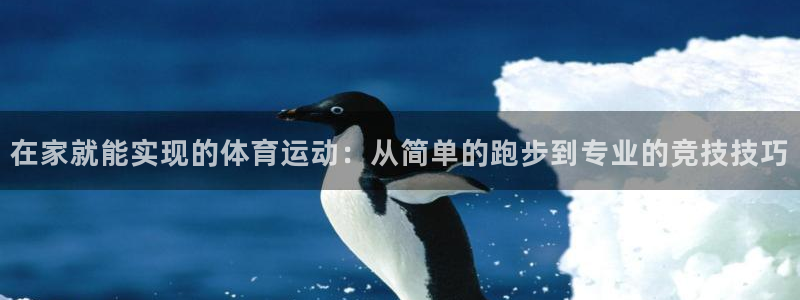 678体育官网地址