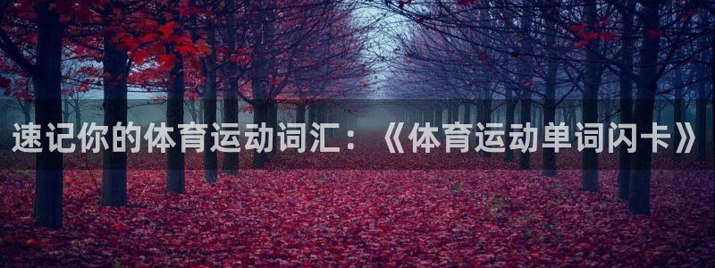 678体育app