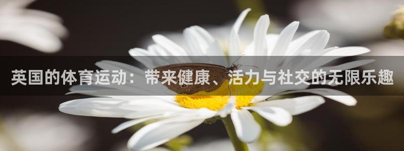 678体育知识