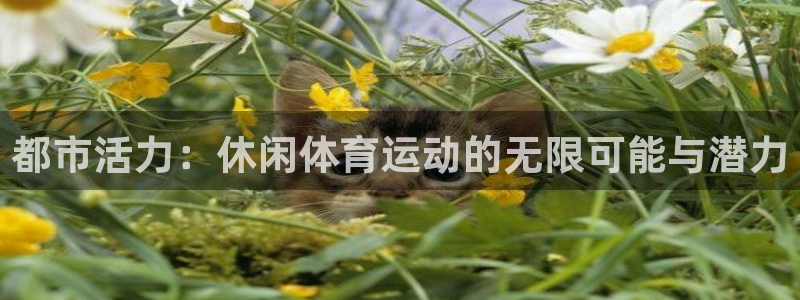 678体育官网地址