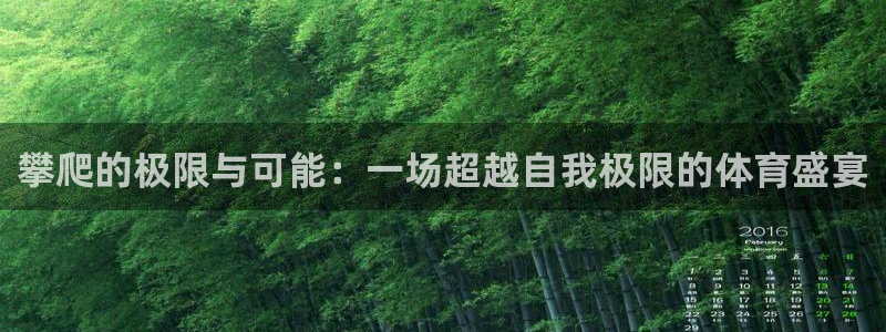 678体育app