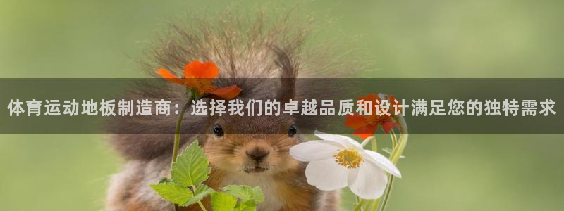 678体育官网地址