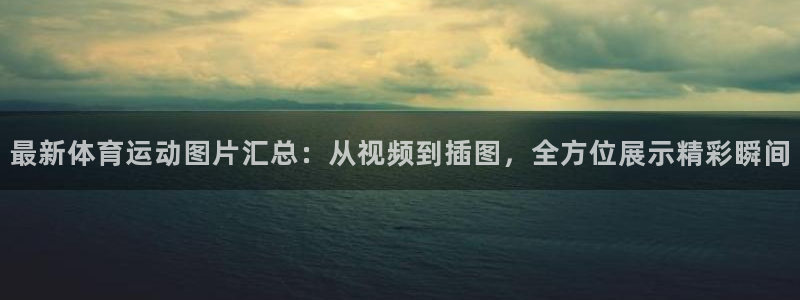 678体育官网下载